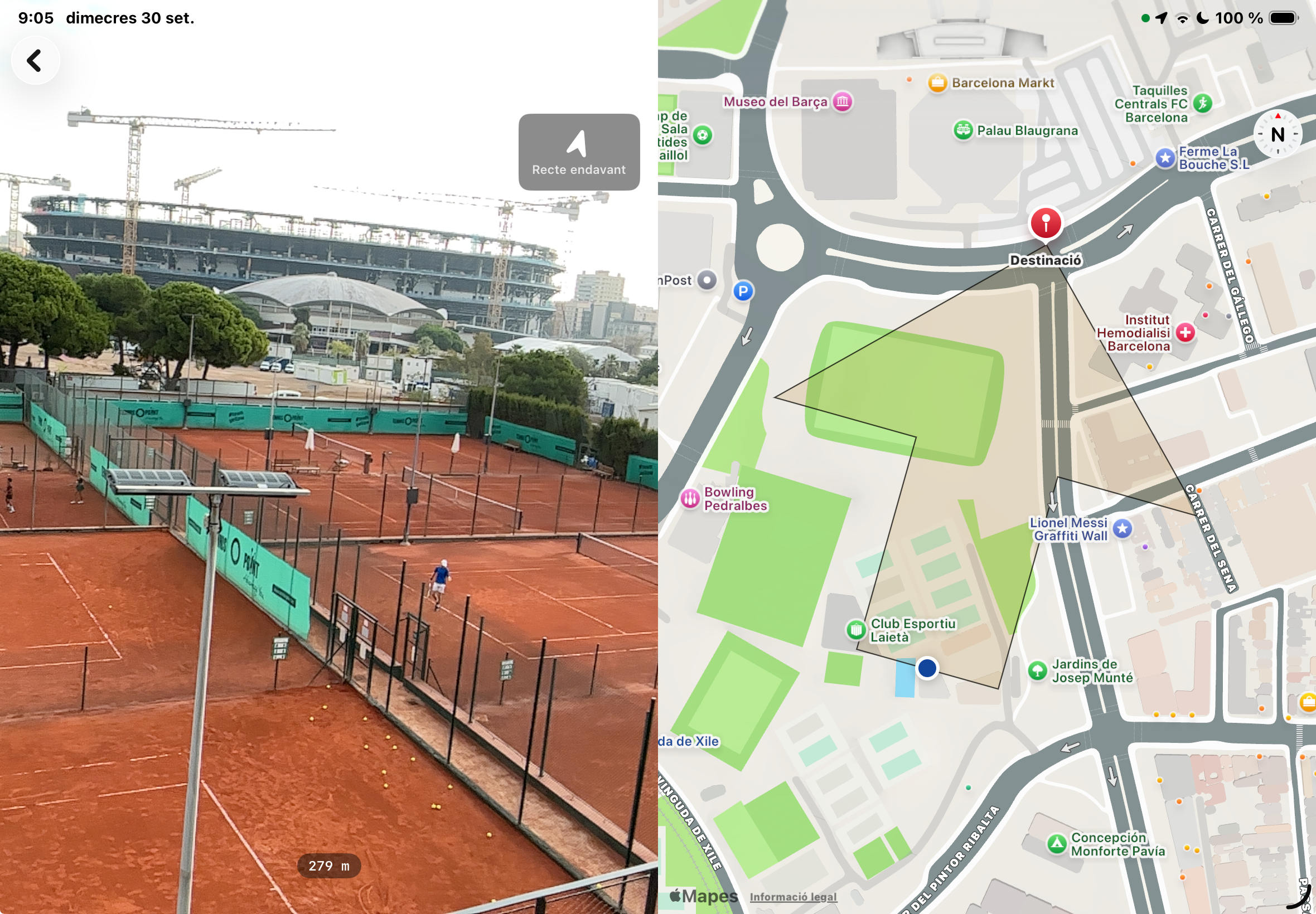 P11.jpg