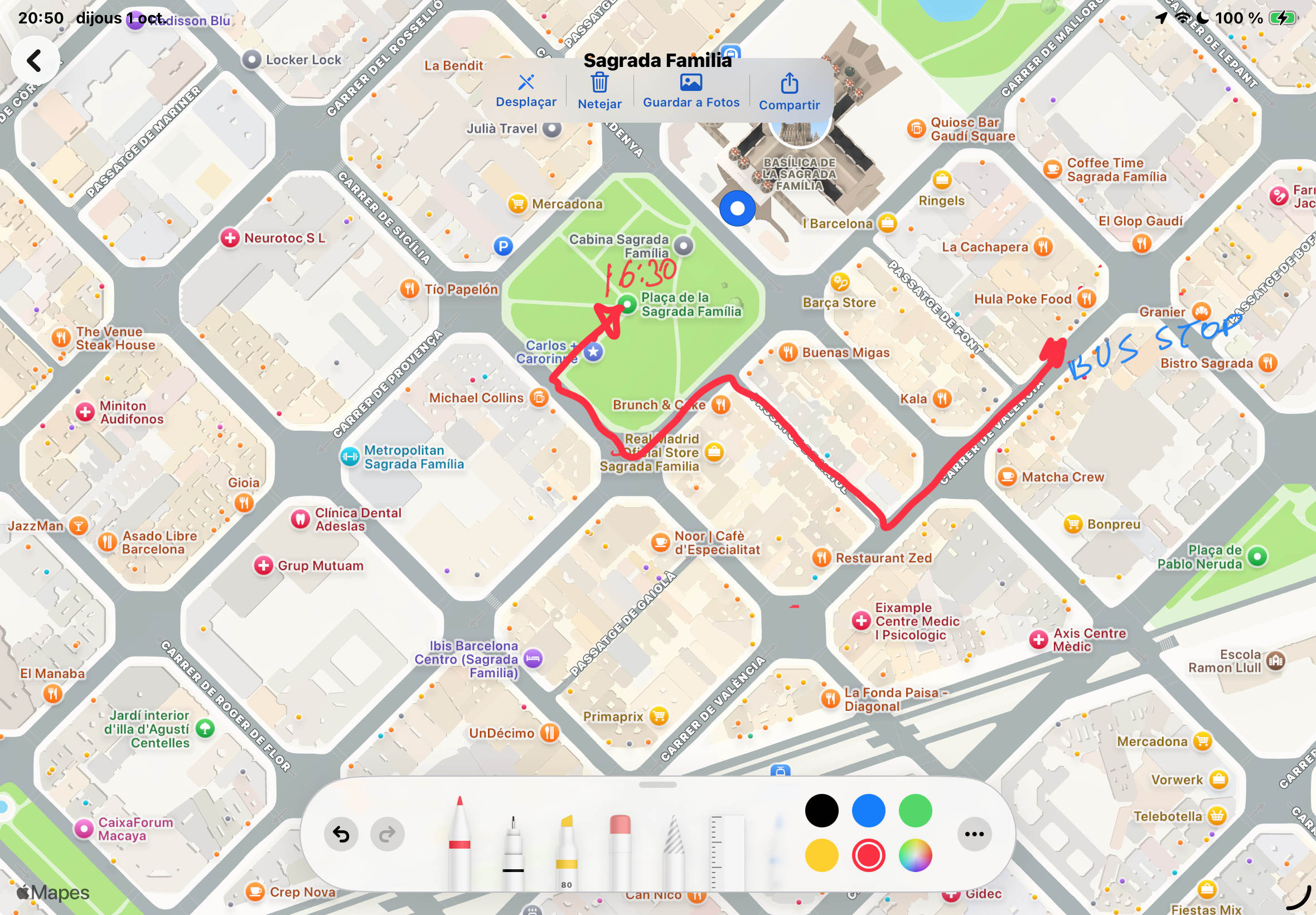 P17.jpg