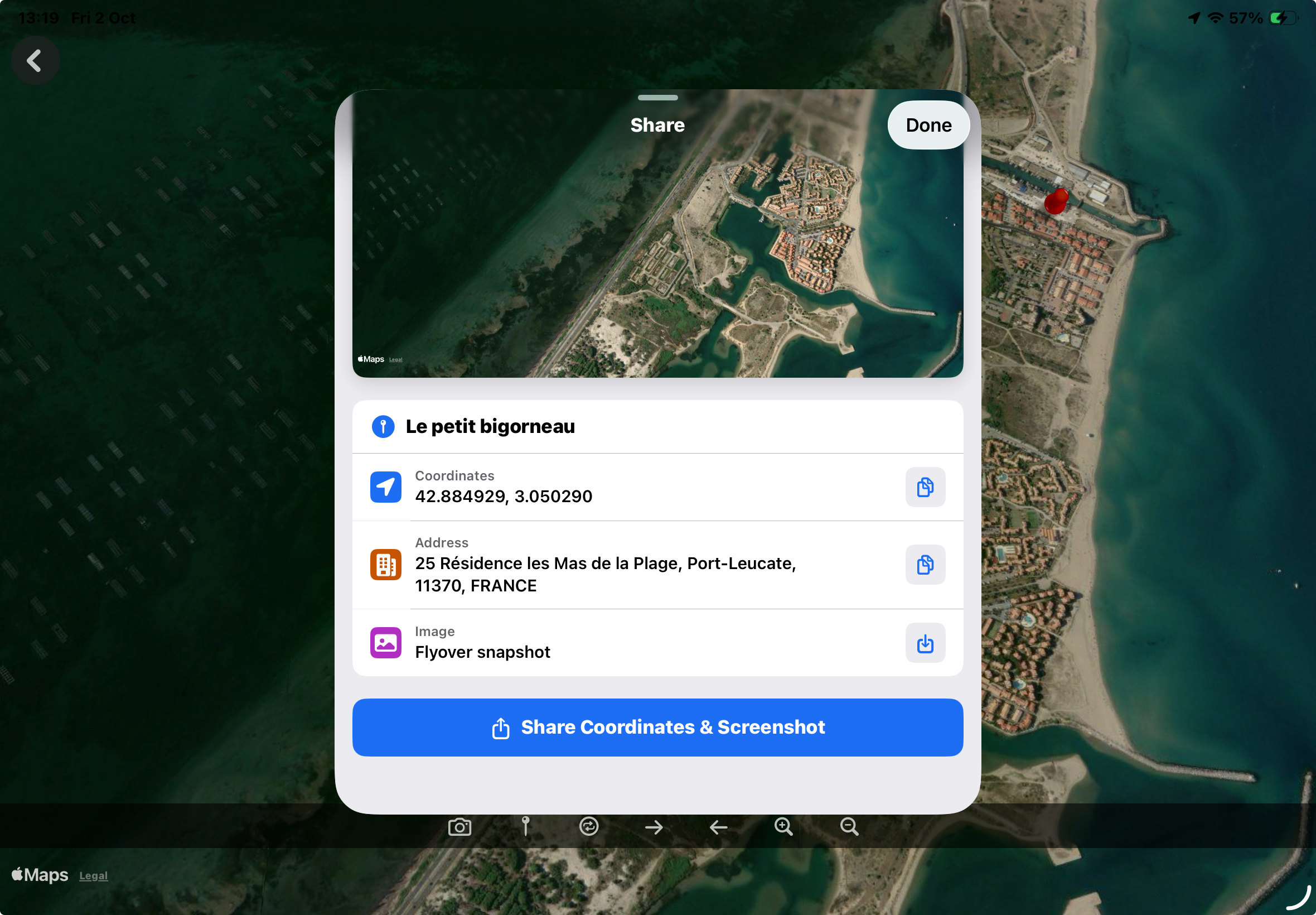 The pin marks the exact saved location in an Apple Flyover scene.